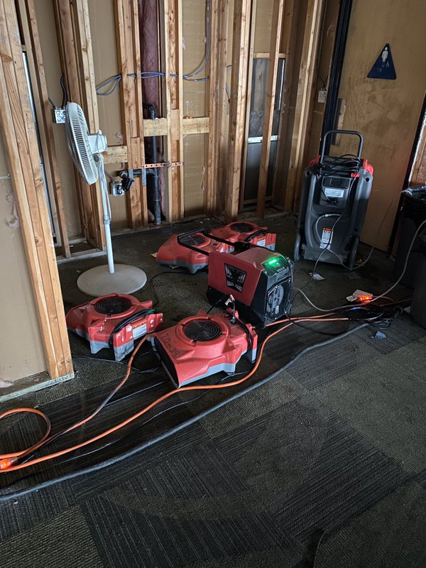 Mold inspection and containment in progress